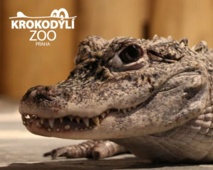 Krokodýlí Zoo Praha